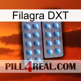 Filagra DXT viagra4
